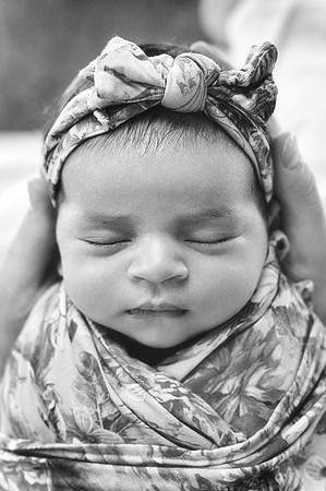 088_A7F6651BW