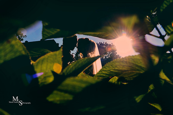 _D4S8753