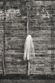 002_A5D4069BW