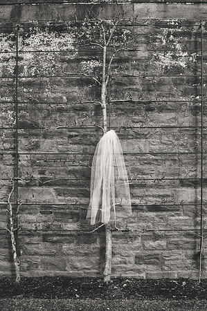 002_A5D4069BW
