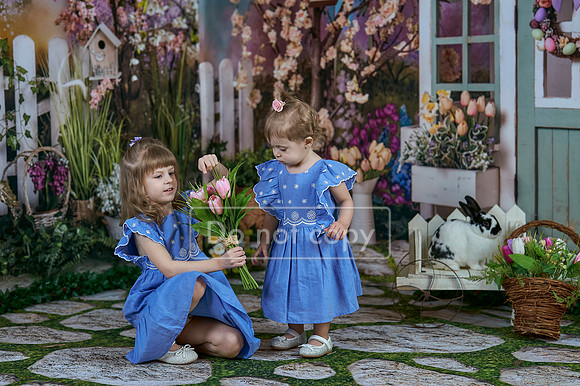 _A7D3709