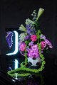 009_A4D2438