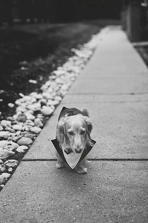 027_A7D0148BW