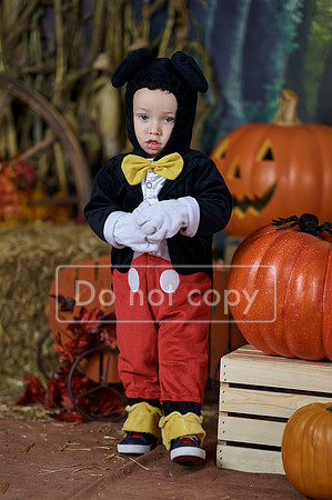_SNN1168