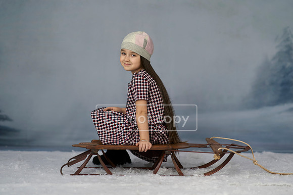 _SON3741