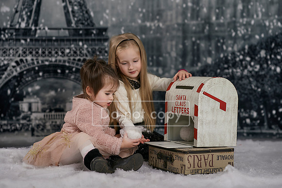 _SON6739