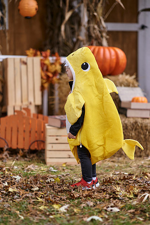 _A7D3399