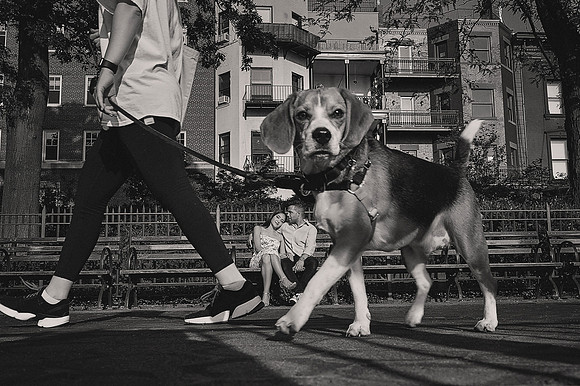 _A7D9655BW
