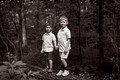 _SON5017