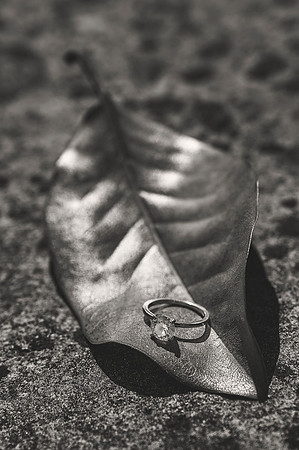 208_A7F0361BW